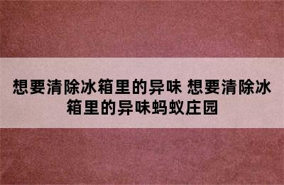 想要清除冰箱里的异味 想要清除冰箱里的异味蚂蚁庄园